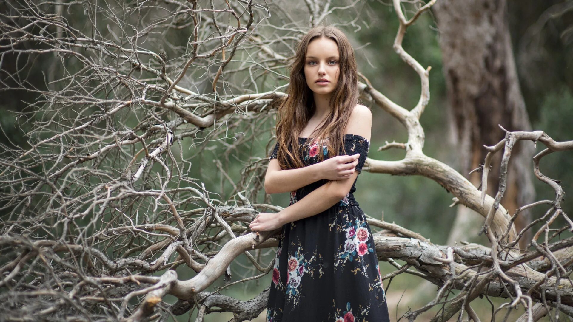 Девушка в лесу. В город лесов девушку. Фотосессия в лесу. Фотосессия в лесу. Дриада лесная нимфа.