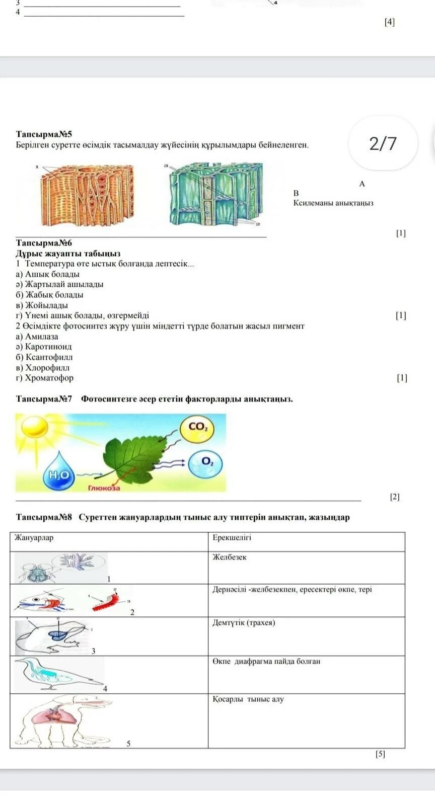 Соч по биологии 8 3 четверть. Соч по биологии 9 класс Министерство.