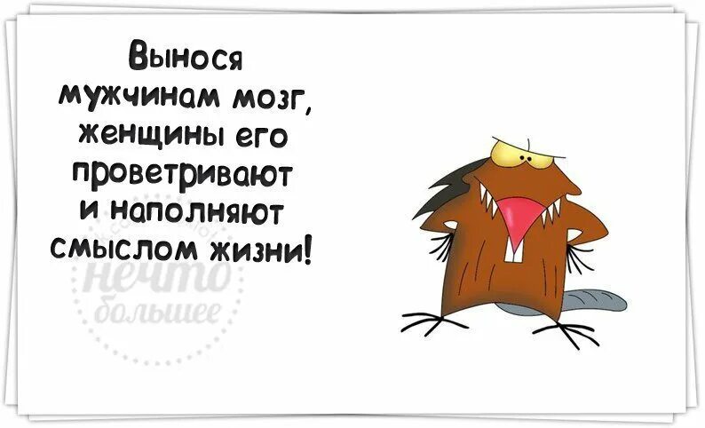 Выносим парню мозги. Цитаты про вынос мозга. выносят мозг. выносить мозг мужчине. цитаты про мозги.
