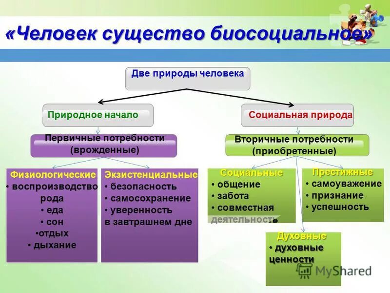 Врожденные качества человека оказывают влияние на формирование