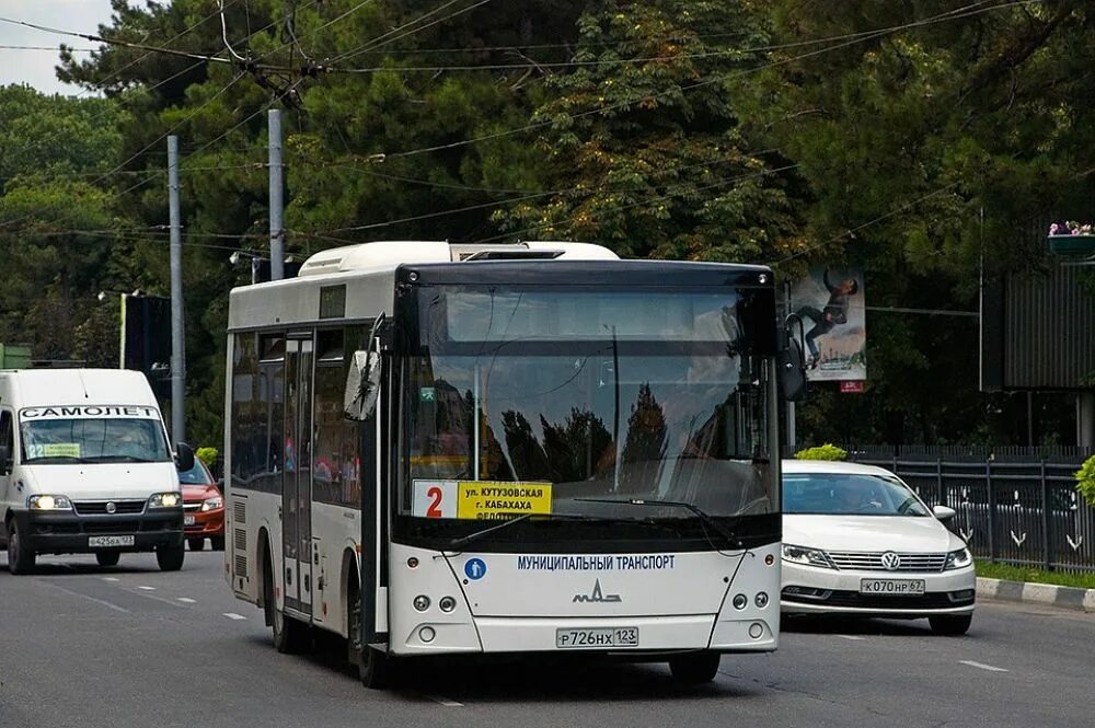 Новороссийск автовокзал маршрут. Автобус новороссийск автовокзала. Муп мптн новороссийск. Новороссийск автовокзал маршрут. 646 новороссийск джанхот.