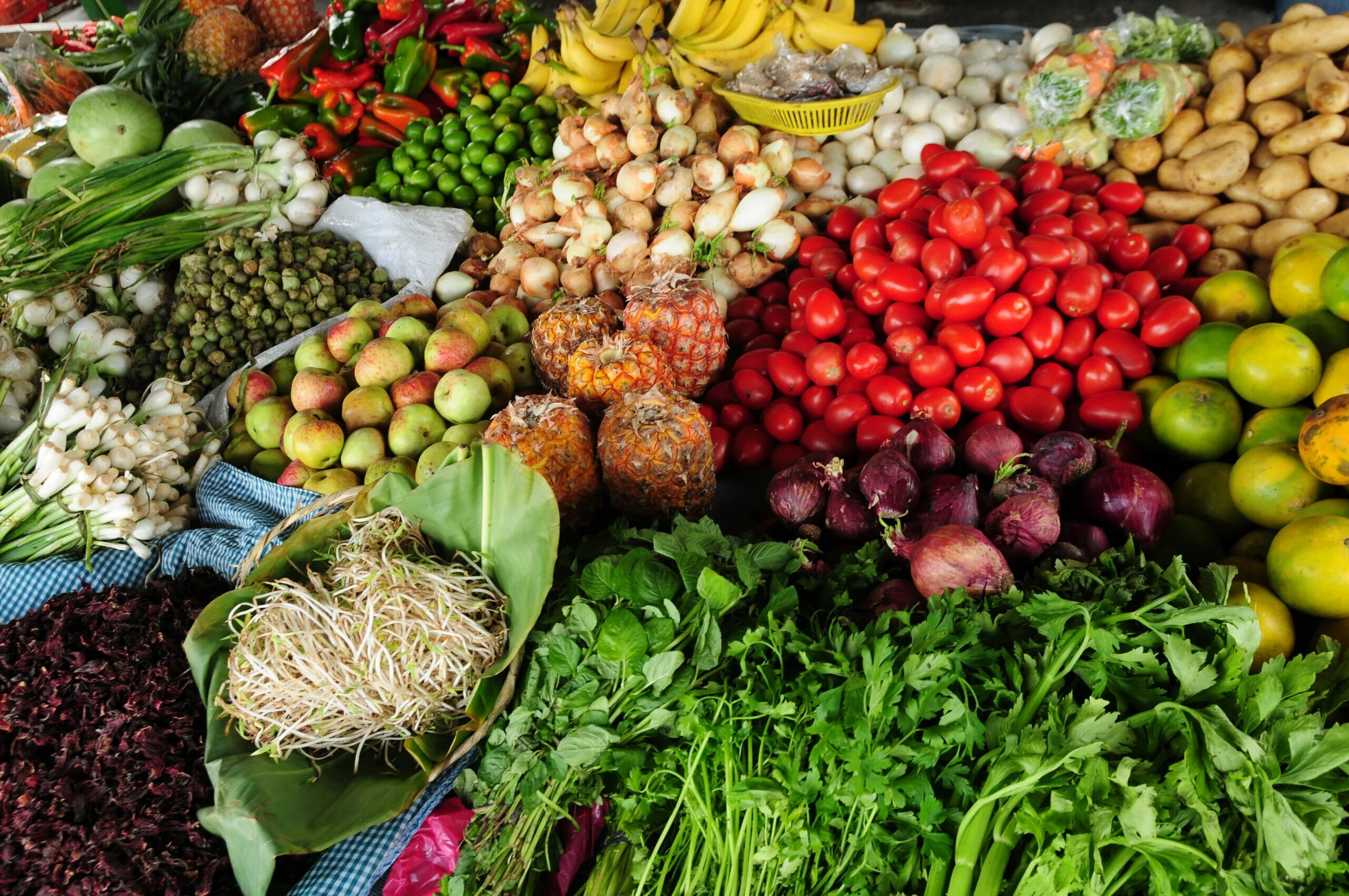 Какие продукты растениеводства ты используешь. Сельскохозяйственная продукция. сельхозпродукция овощи. продовольственные и сельскохозяйственные товары. сельскохозяйственные и пищевые продукты.