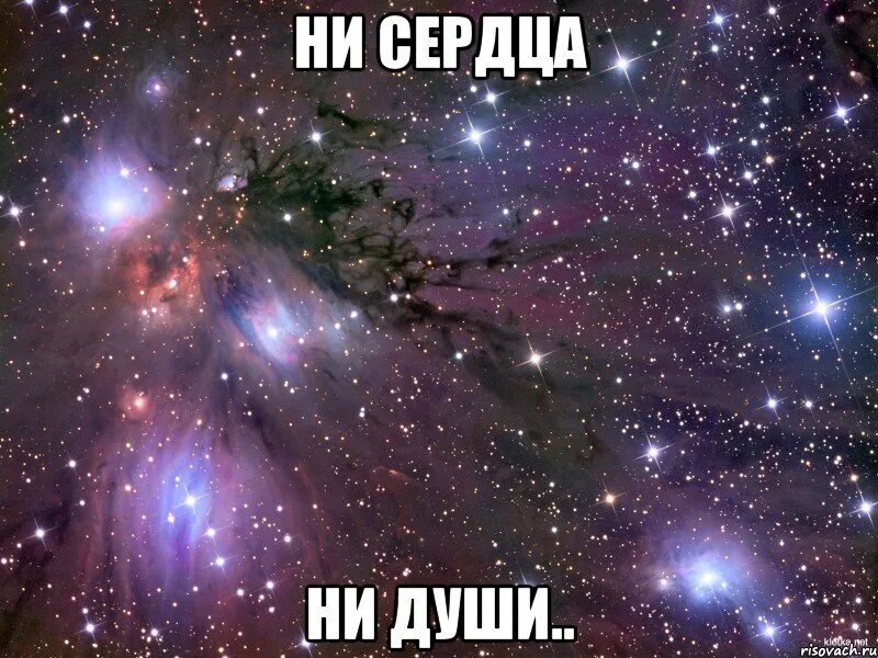 Кругом не было ни души. Мем ни души. От души Мем.