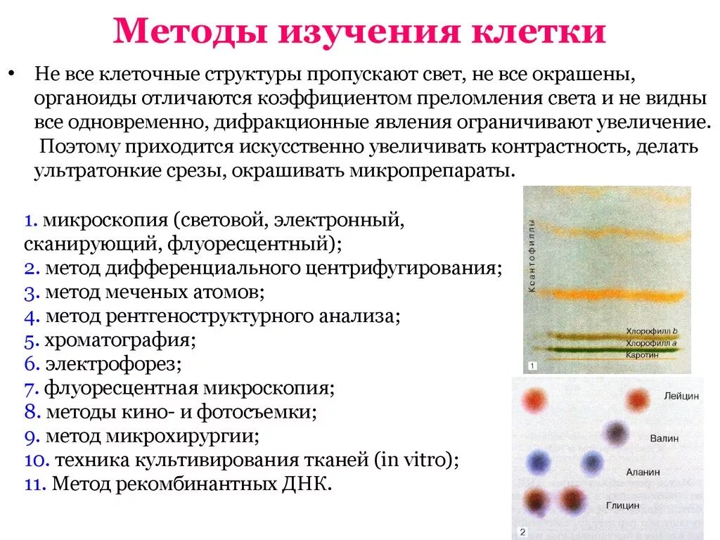 Какую клеточную структуру. Методы изучения клеток биология 10 класс. Методы изучения клеточных структур. Методы изучения цитологии 10 класс. Методы изучения клетки таблица 10 класс.