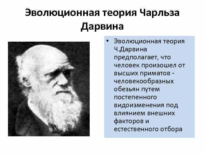 Гипотеза дарвина. Эволюционная теория Чарльза Дарвина. Теория эволюции Дарвина. Эволюционная теория Чарльза Дарвина кратко. Теория революции Чарльза Дарвина.