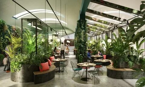 Urban jungle