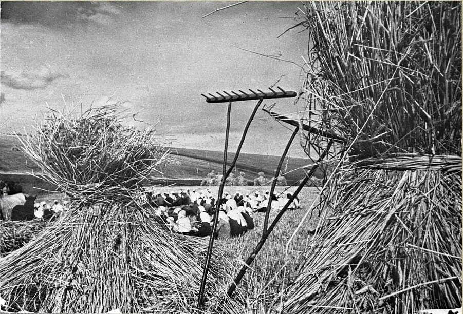 Ссср 1939 колхоз деревня. В деревенском доме 1940 е. Немецкая деревня 30х. Деревня 30 лет. Председатель колхоза большевик в 1930.