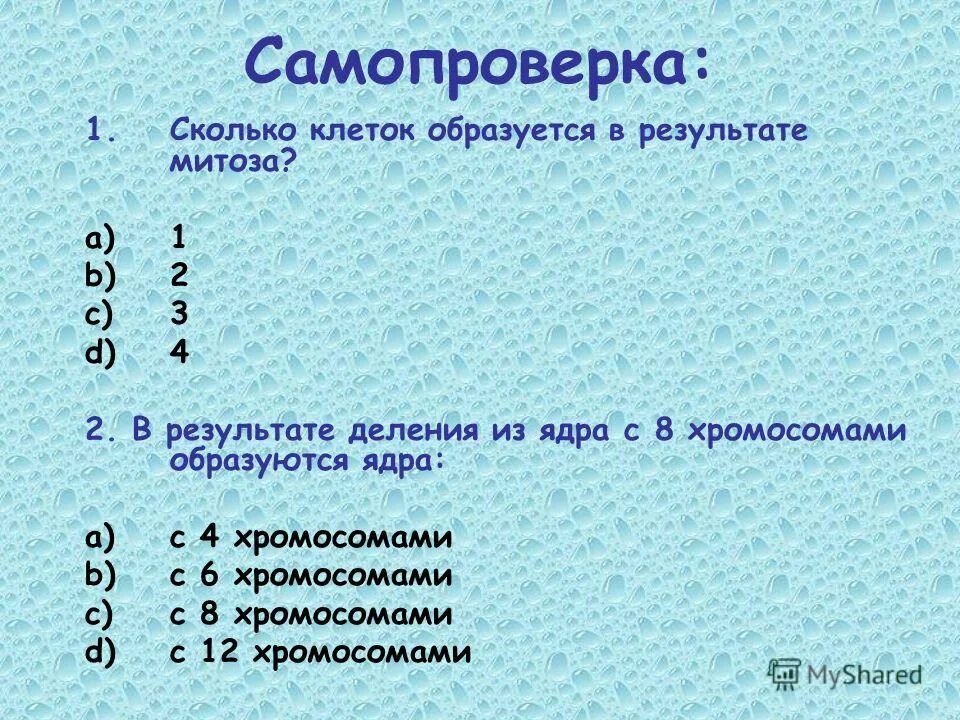 В результате митоза образуются. Как появляются новые клетки. Телофаза 2 хромосомный набор. Результате мейоза из 1 диплоидной клетки образуются. Деление клетки.