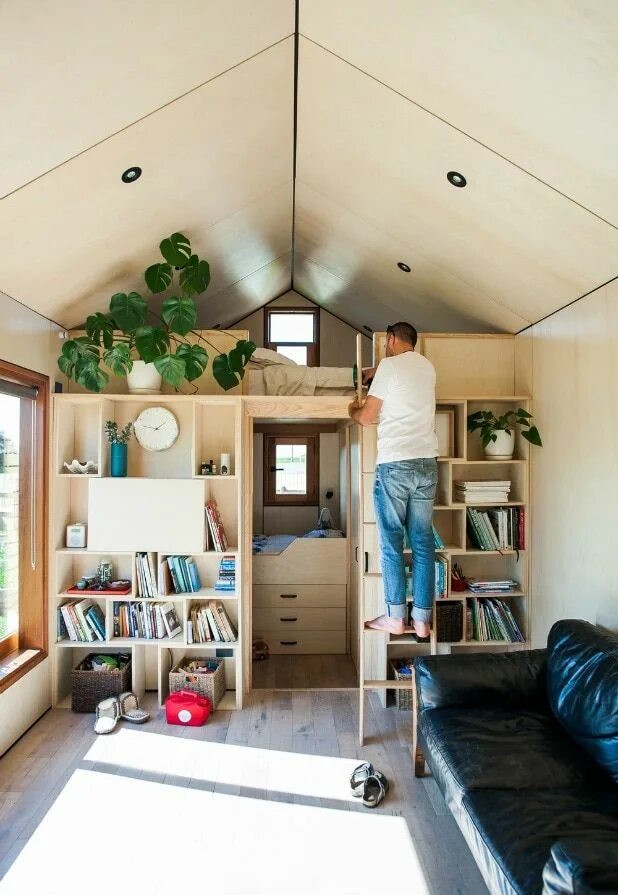 Diamond family хаус. Tiny their. Tiny their. Мышь в цветах. Сказка про маленького бегемотика.