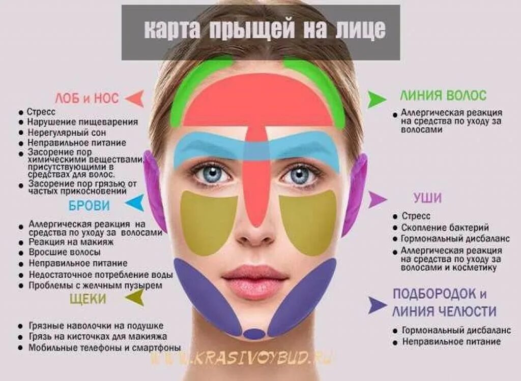 Прыщи на лице к какому врачу идти. Карта прыщей на лице. прыщи на лице по зонам причины. схема прыщей на лице. зоны прыщей на лице.