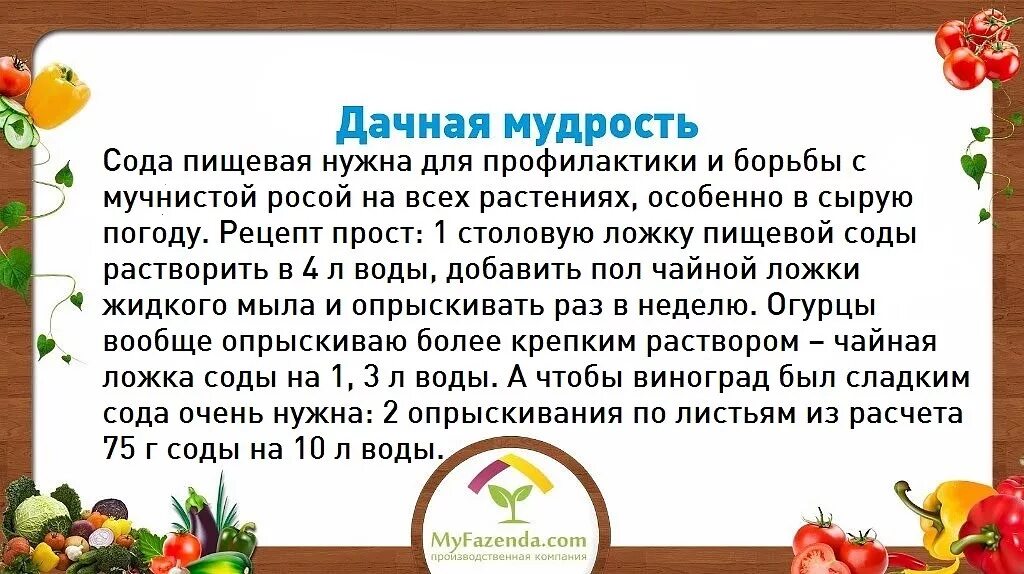 Опрыскивание овощей растворами. Полить борной кислотой помидоры и огурцы. Удобрение с йодом для помидор. Подкормка помидор йодом