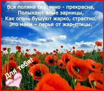 Маков стихи