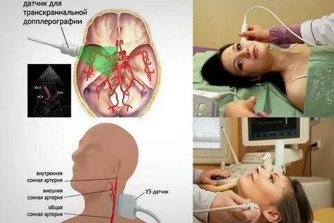 Узи шеи и головы новосибирск