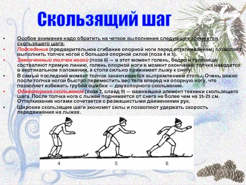 Основой всех лыжных ходов кроме бесшажного является