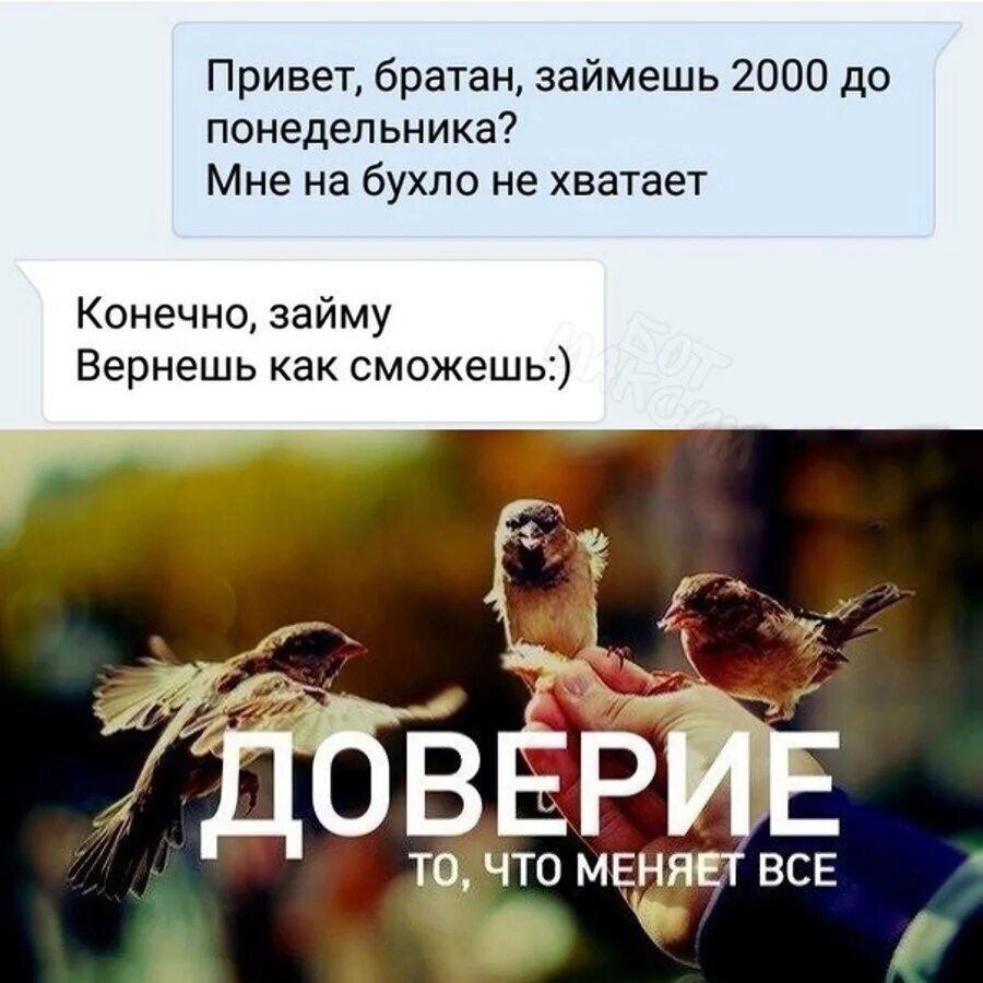 Привет братан. Открытка привет братан. Привет братан картинки прикольные. Привет брат картинки с надписями. Привет братан текст