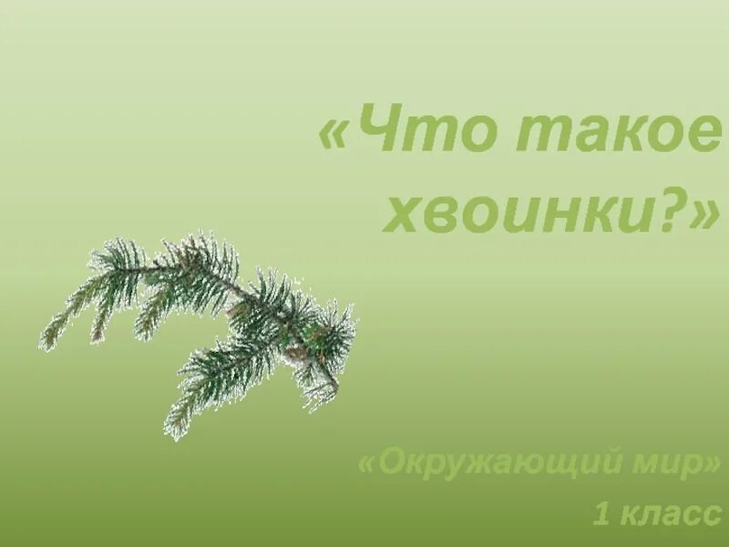 1 кл что такое хвоинки. Что такое хвоинки. что такое хвоинки 1 класс. с хв. что такое хвоинки окружающий мир.
