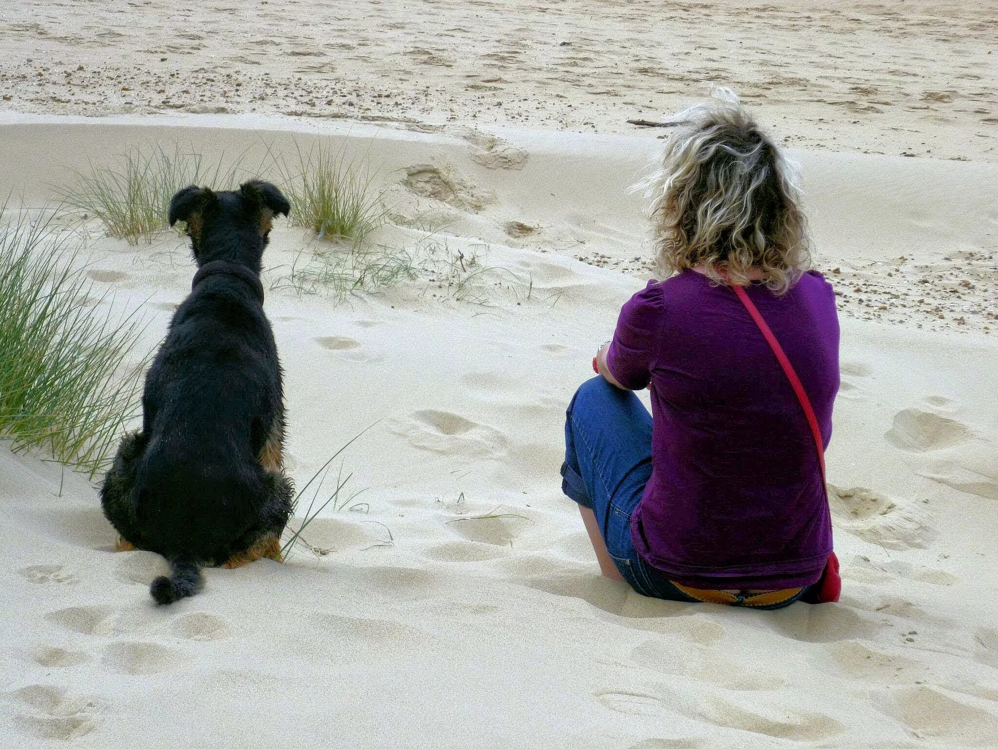 Одинокие женщины и собаки. Женщина с собакой. Собака на пляже. Собака в песке. Девушка с собакой на пляже.