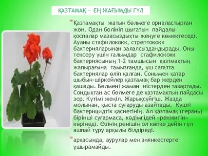 Ленаның ең жақсы порно сәттері