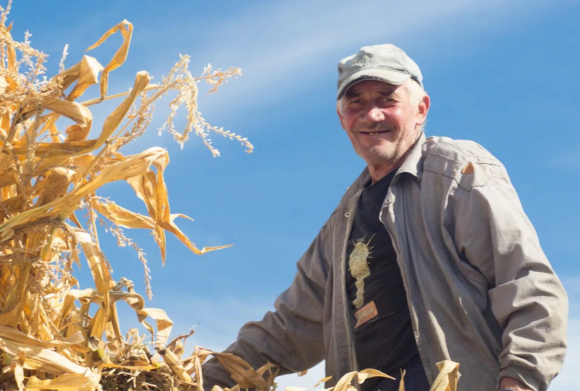 Колхозник. Деревенский тракторист. Деревенский парень. Крестьянин. Колхоз ни.