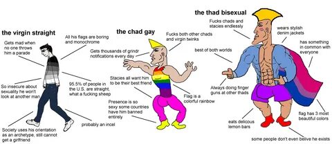 the virgin straight VS the Chad Gay VS the THAD BISEXUAL : virginvschad.