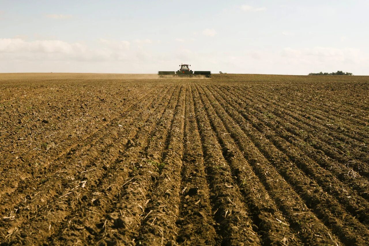 Хозяйство страны сша. Хозяйство страны сша. Растениеводство сша. Штат небраска природа. Сельское хозяйство штата мичиган.