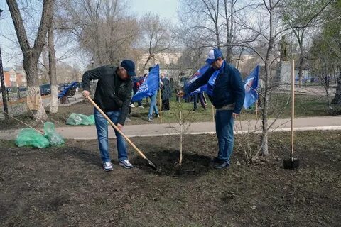 Посадив парке 4 дерева