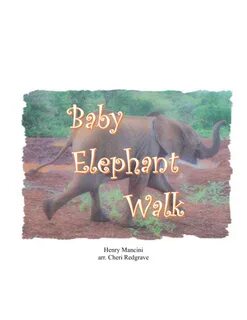 An elephant can перевод