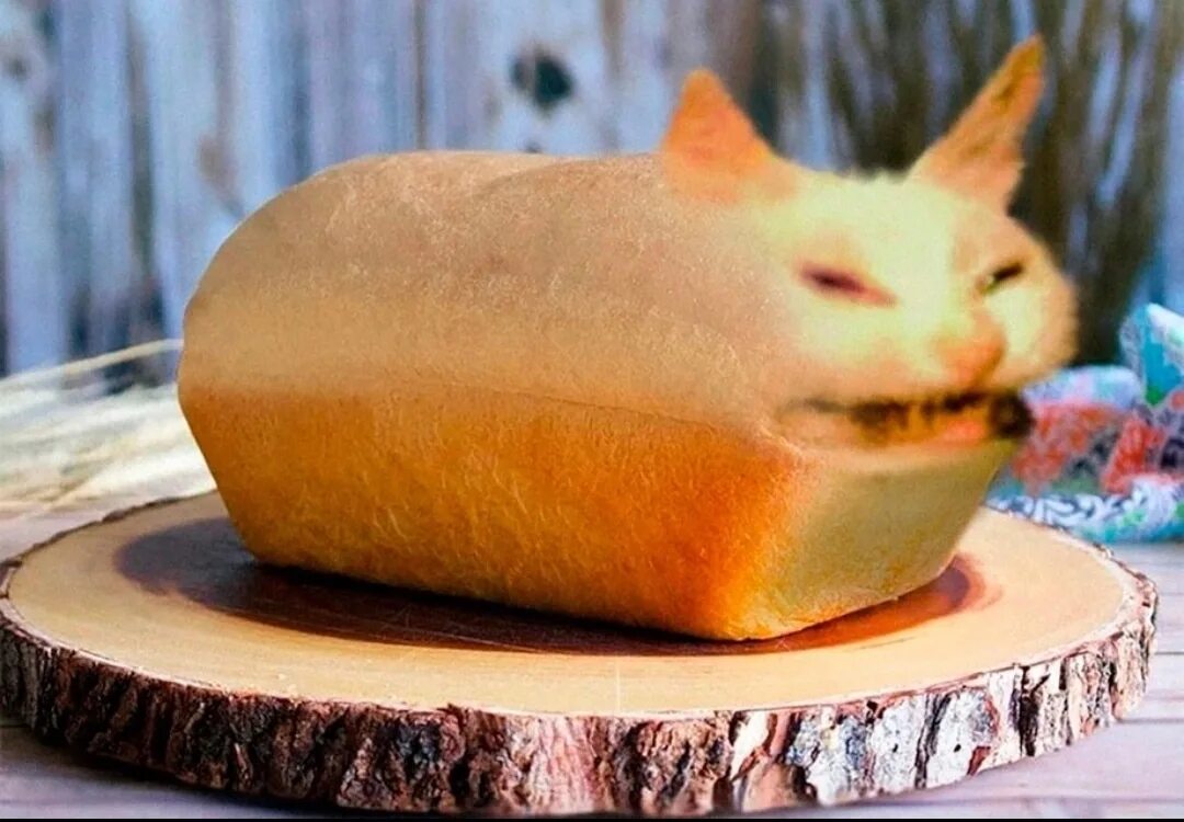 Кот хлеб. Котик в хлебе. Хлеб Буханка. Кот булка хлеба. Кот булочка