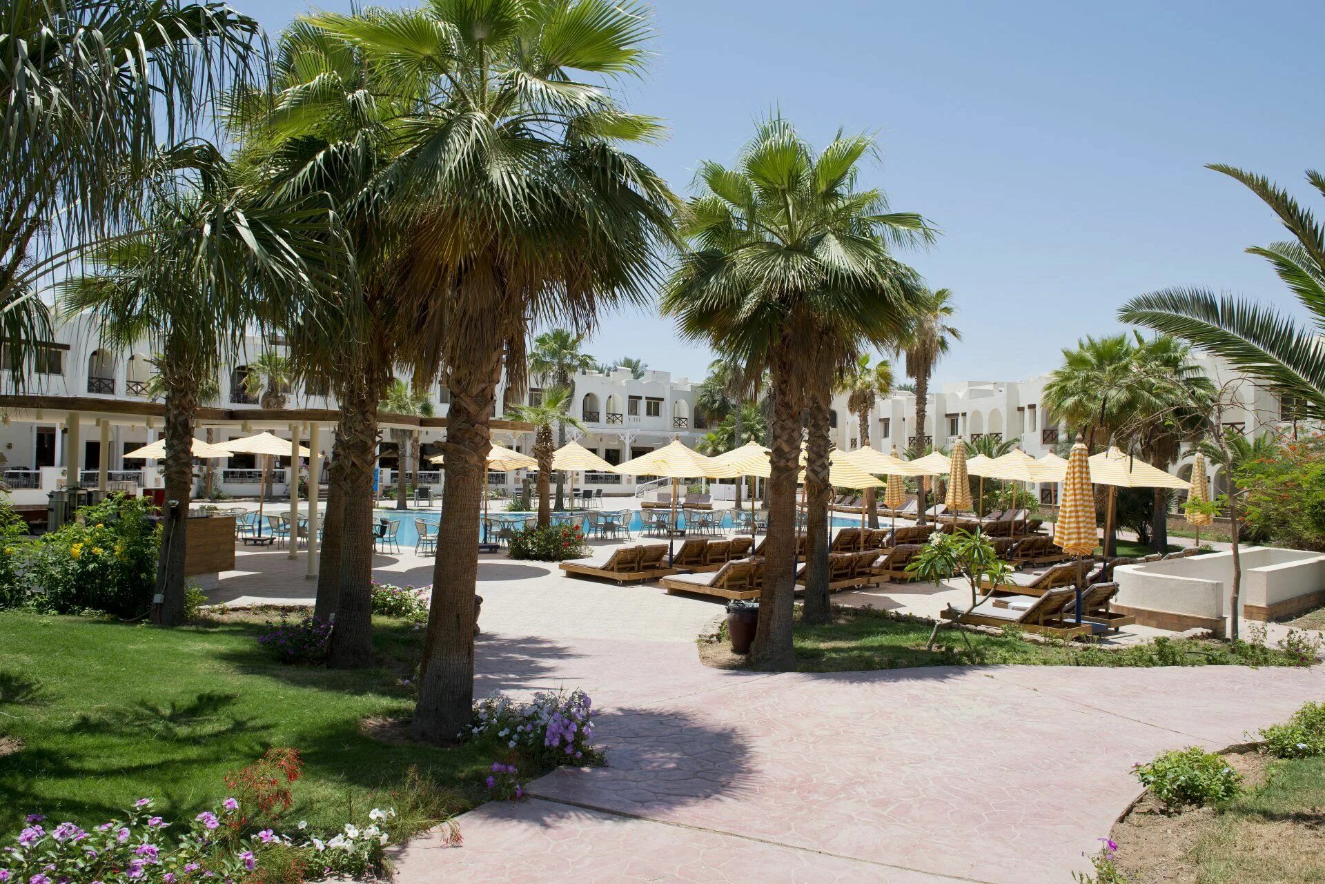 Амфора аква отель шарм-эль-шейх. Отель shores amphoras 5 египет шарм. Amphoras beach шарм-эль-шейх. Амфора бич шарм-эль-шейх 5 звезд. Отель amphoras aqua hotel.