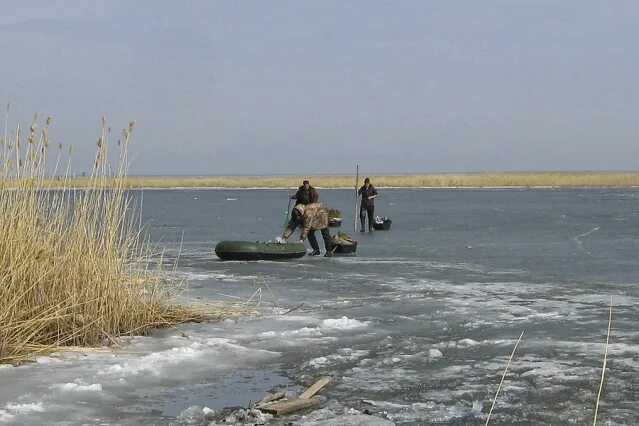 Салтаим Омская область. Озеро Салтаим. Озеро Изюк Омская область Муромцевский. Салтаим-тенис рыбалка.