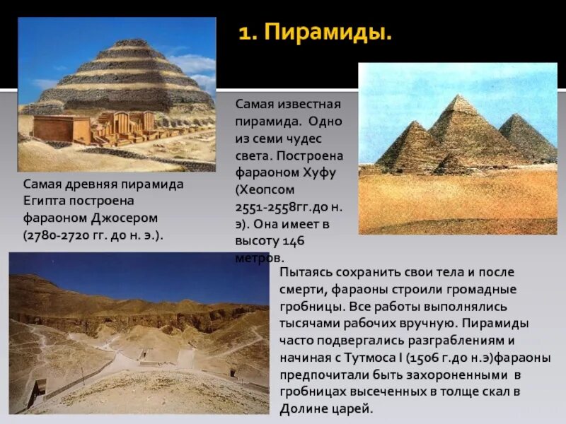 Какой вид является самым древним