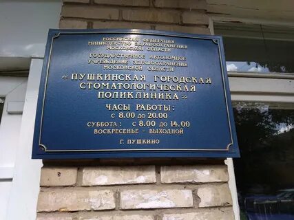 Пушкино электронная