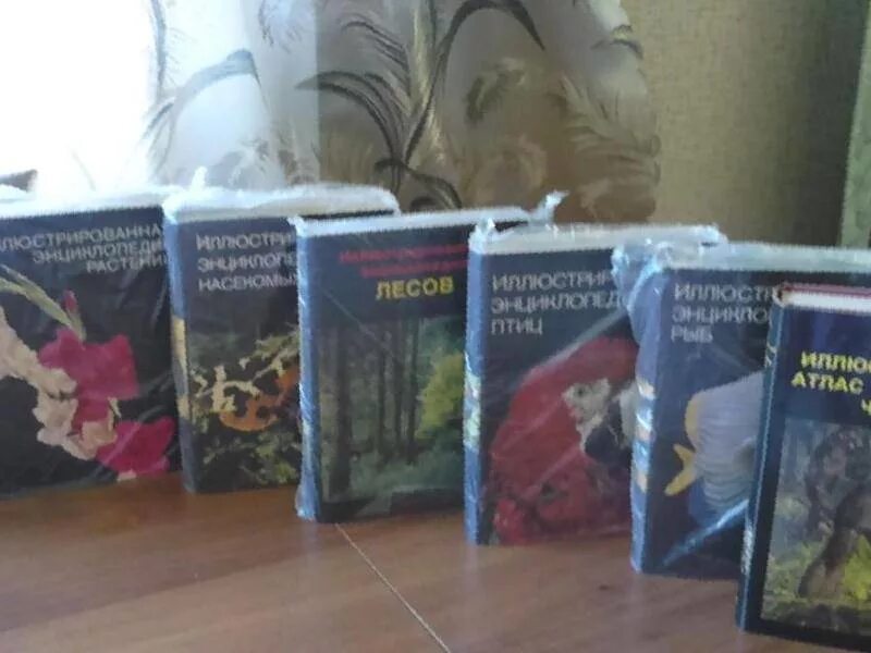 3d энциклопедия. Энциклопедия 7. Электронная энциклопедия игра. Электровикторина conector энциклопедия. Живая энциклопедия.