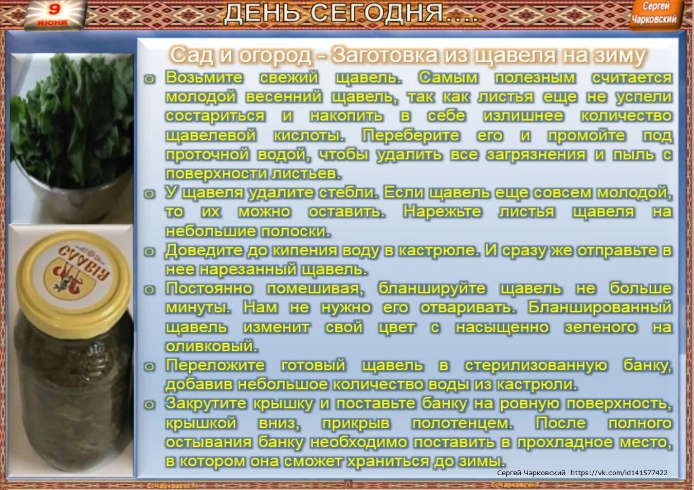 Анализ содержания текста собирая щавель. Заготовка щавеля на зиму. щавель на зиму в банках. щавель в банках. заготавливаем щавель на зиму.