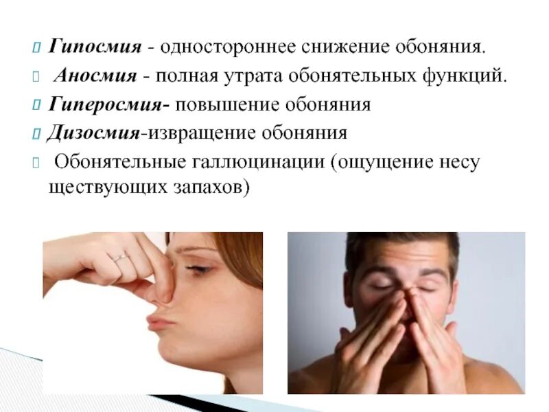 Почему человек не чувствует запахи