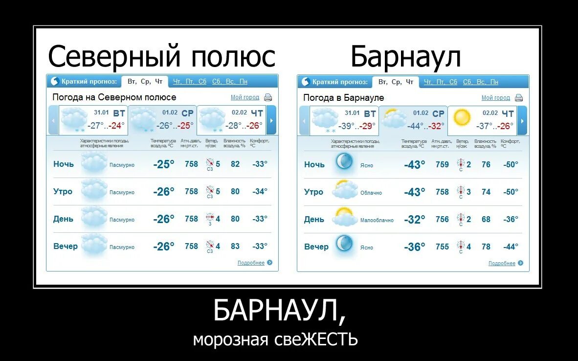 Прогноз погоды по часам барнаул. Погода в Барнауле. Северный полюс погода. Погода на Северном полюсе. Демотиваторы про погоду.