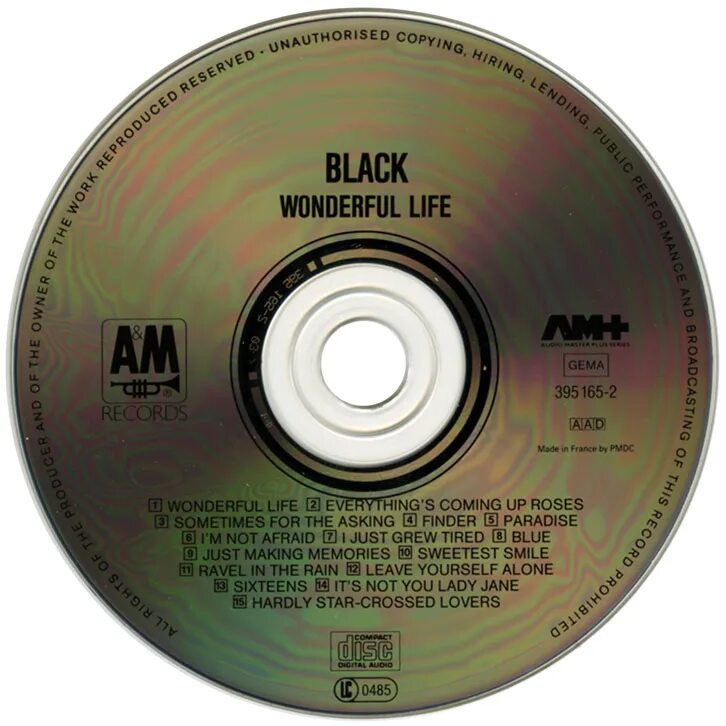 Вандефул лайф слушать. Wonderful Life 1987. Testament the Legacy 1987. Black wonderful Life 1987. Black группа wonderful Life.