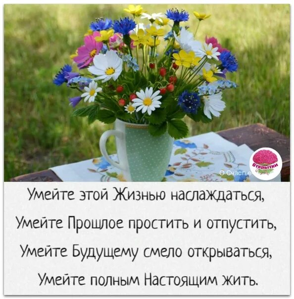 Верить в счастье. Просто прекрасная жизнь. Жить и радоваться жизни. Делай добро картинки со смыслом. Счастье в чем то простом.