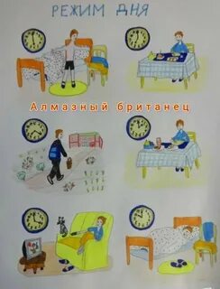 Мой день в котором я