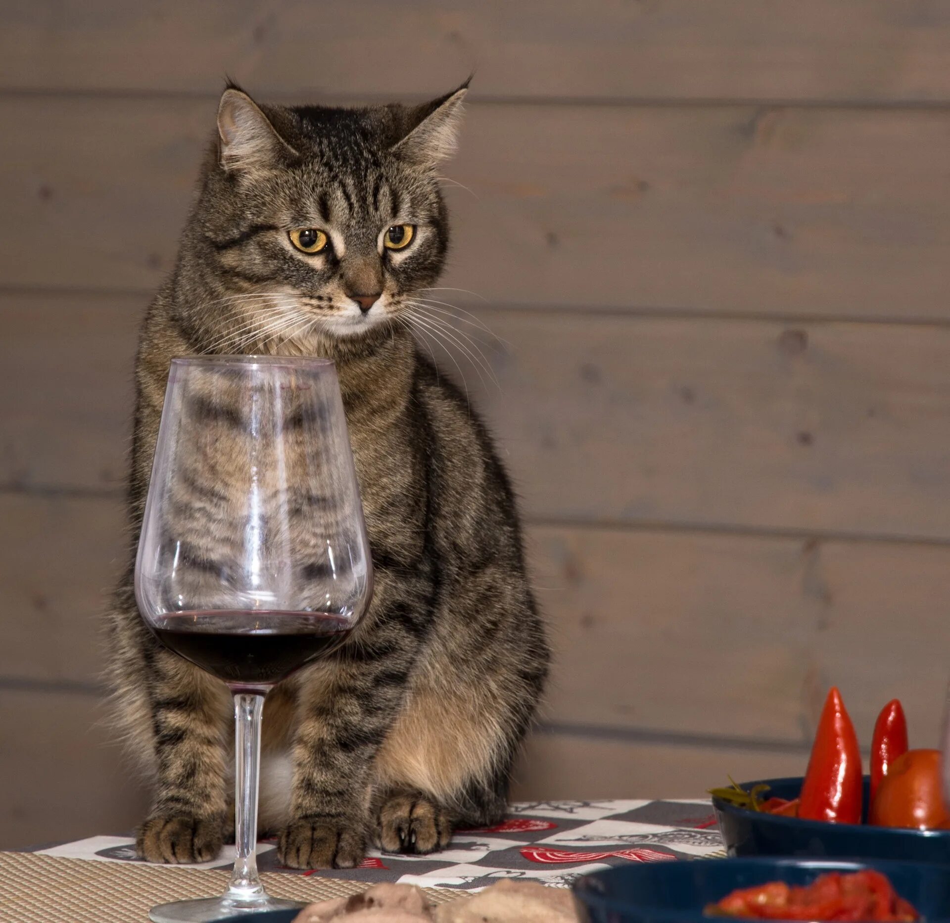 Кошка с бокалом. Кошка на столе. Фужеры с кошкой. Строгая кошка. Стол кошечка