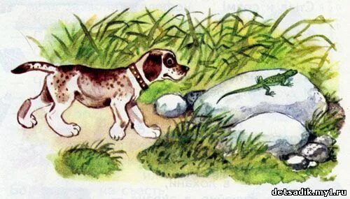 Виталий валентинович бианки 1 охота. Бианки "первая охота". Бианки "первая охота". Произведение в бианки первая охота. Первая охота виталий бианки иллюстрации.