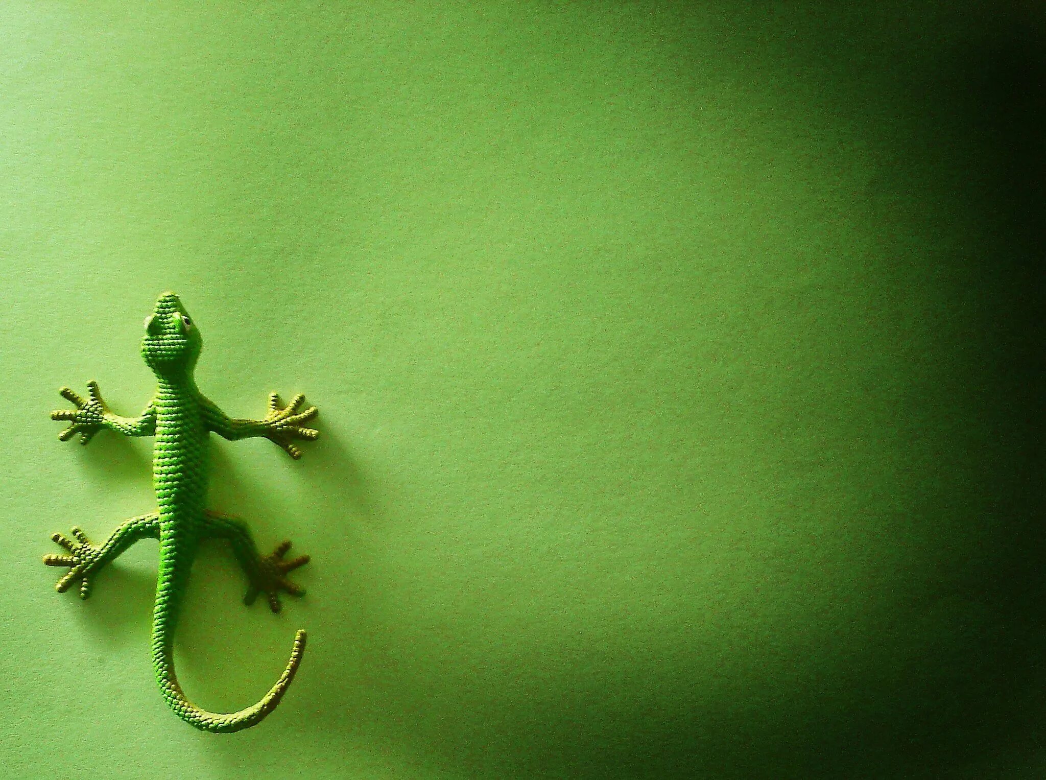Изумрудная ящерица Лизард. Ящерица зеленого цвета. Ящерица с короной. Ящерка для презентации.