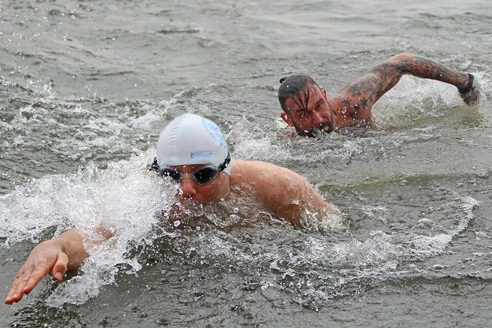 Плавание моржей. Анатолий иванович моржевание. Заплыв моржей. Зимнее плавание моржевание. Соревнования по плаванию зимой.