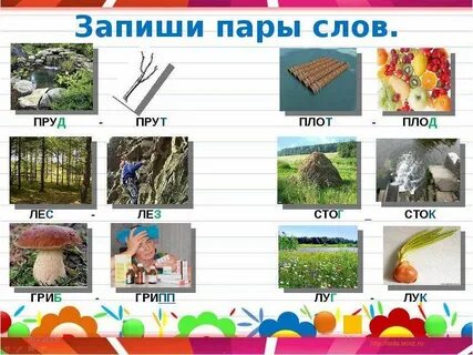 Слово лес в слово луг