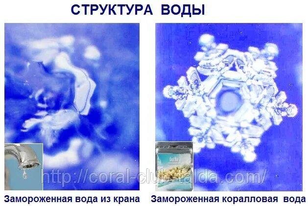 Изменение структуры воды. Структура воды под микроскопом. Структура структурированной воды. Эксперимент масару эмото. Крещенская врда под микроскоп.