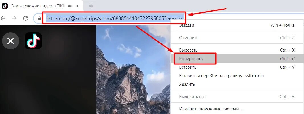 Как сохранить видео со звуком. Копировать URL видео и где он сохраняется. Как в тик токе сохранить видео в галерею. Сохранить видео ТИКТОК. Как из тик тока сохранить видео на телефон в галерею.