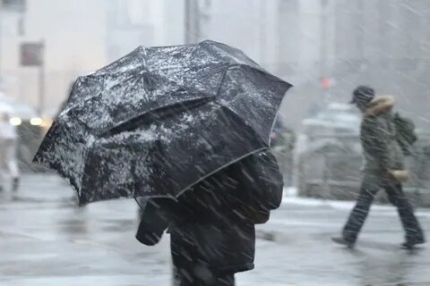 Погода в ноябре ветер