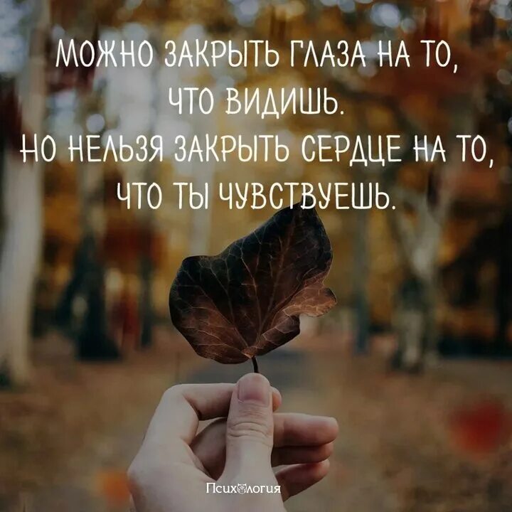 Всегда верь своему сердцу