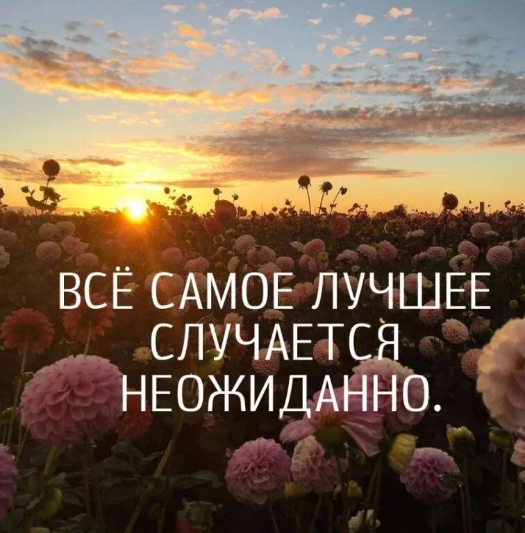 Статус про счастье и любовь. Высказывания о счастье. красивые высказывания о счастье. красивые афоризмы. красивые фразы.
