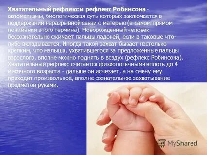 Что отвечает за хватание